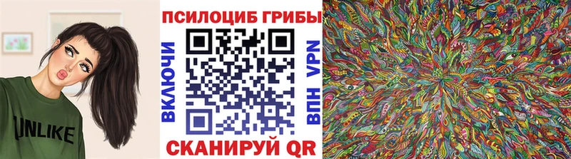 дарнет шоп  Ессентуки  ссылка на мегу зеркало  Псилоцибиновые грибы MAGIC MUSHROOMS 