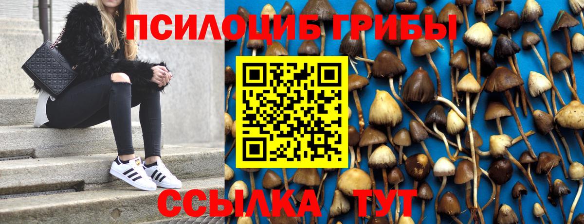 Псилоцибиновые грибы мицелий Ессентуки