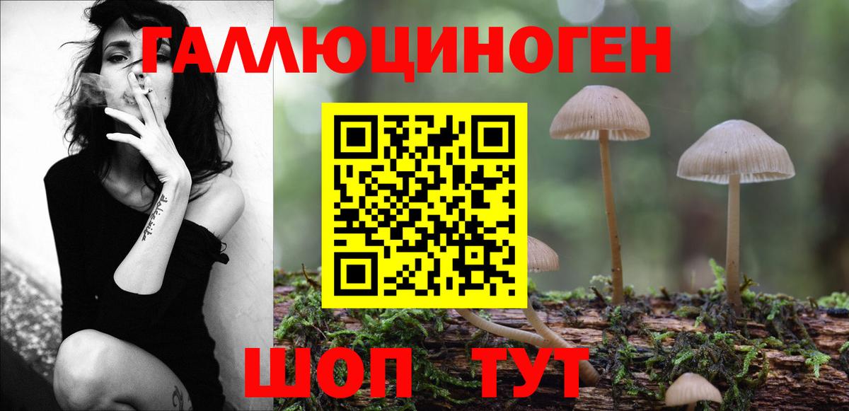 Галлюциногенные грибы Cubensis  Вход с VPN  Псилоцибиновые грибы мухоморы  Ессентуки 